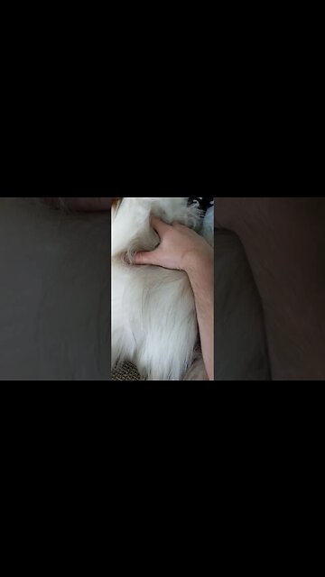 INTO THE THICK ;) OF IT!