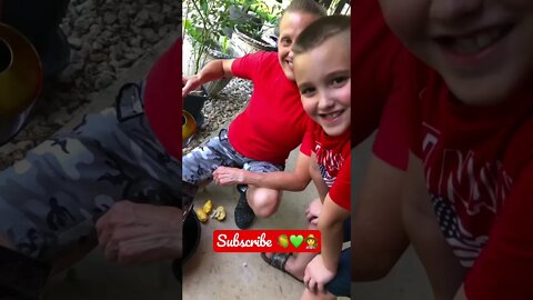 Jenny’s SUPER EXCITED ABOUT about planting Mango in TEXAS Zone 8b! 🧑‍🌾🥭❤️💚 #shorts #viral