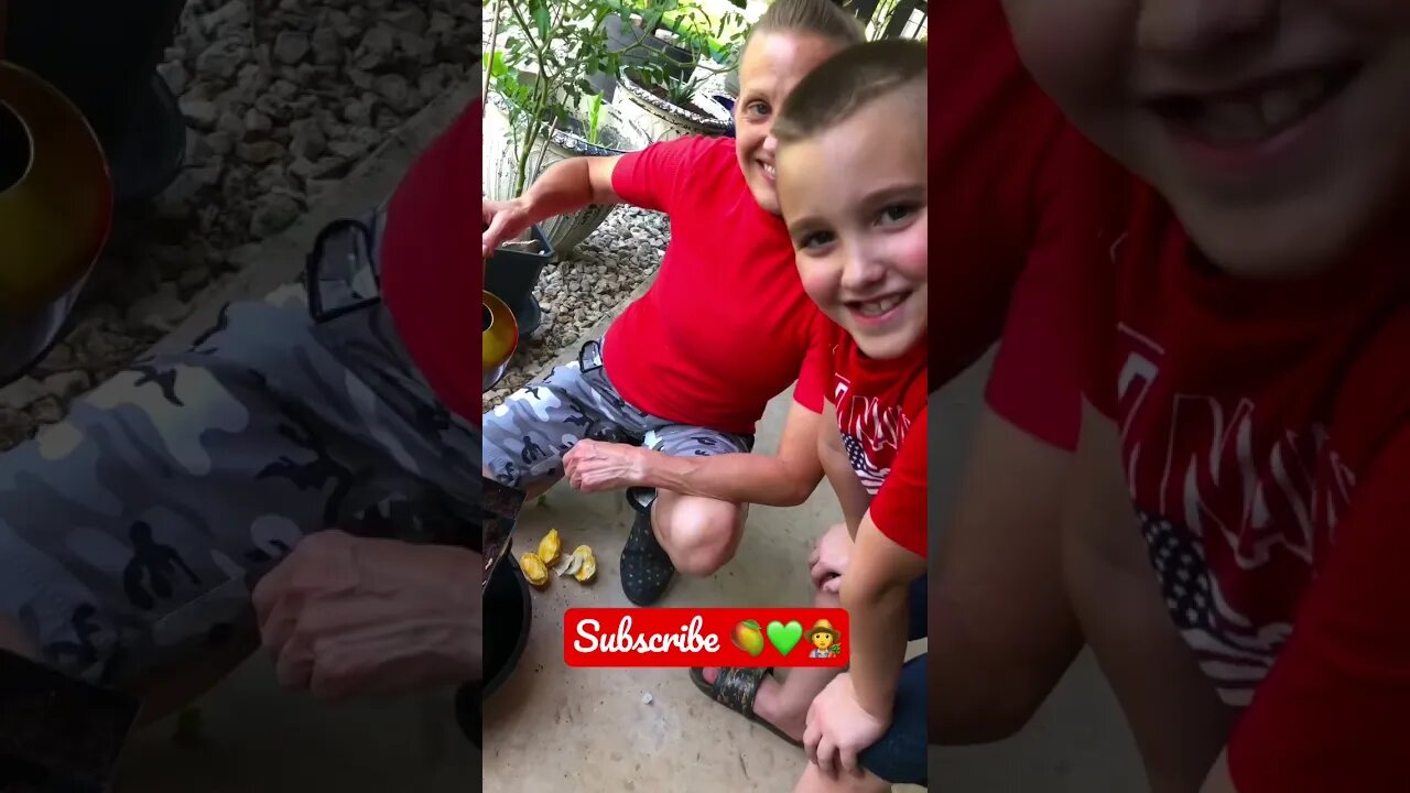 Jenny’s SUPER EXCITED ABOUT about planting Mango in TEXAS Zone 8b! 🧑🌾🥭❤️💚 #shorts #viral