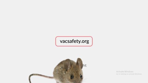 Vaccine Boosters Were Approved Based on MOUSE DATA!