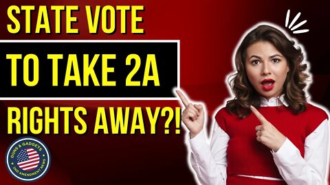 State To Have Voters Decide On 2A Rights
