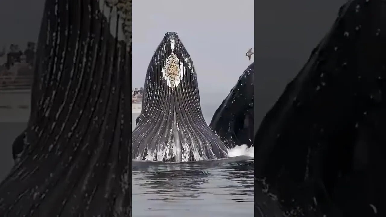 Amazing views