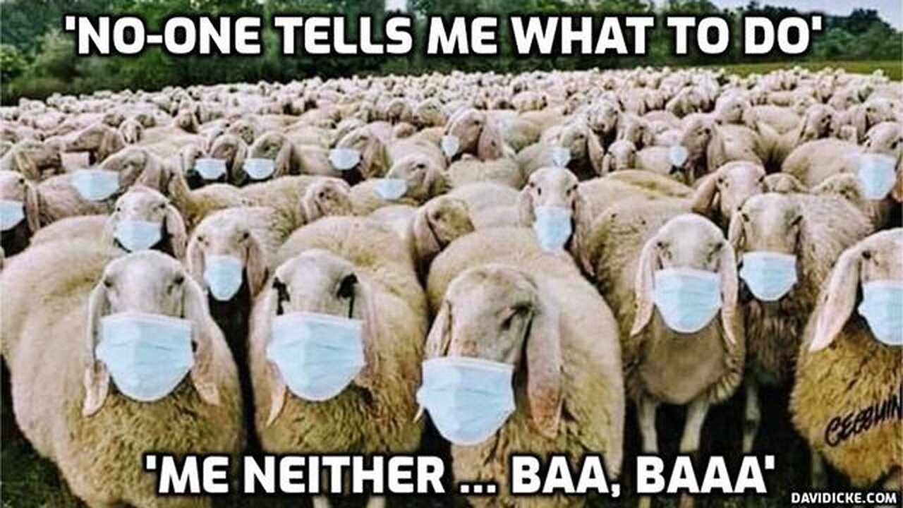 SECRET LETTER TO THE CDC - DAVID ICKE