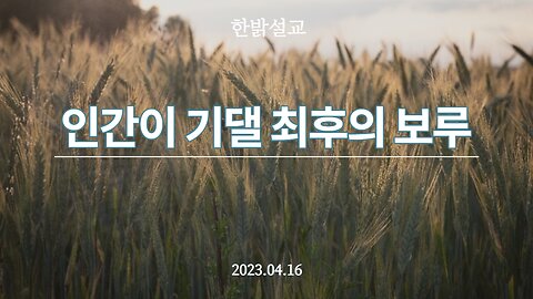 [설교] 인간이 기댈 최후의 보루 (미가 7 : 7~10)230416(일) 한밝모바일교회