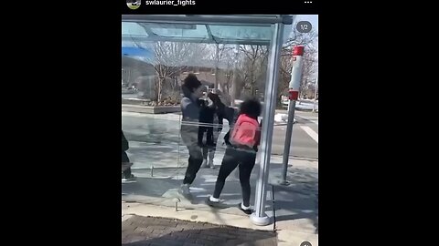 TTC bus stop fight in toronto