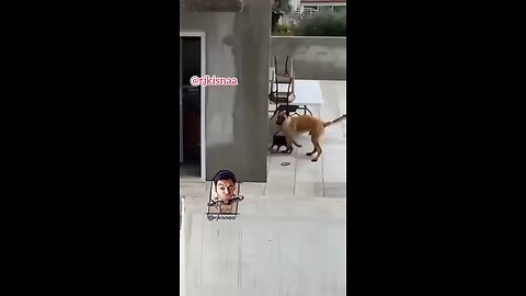 CRIMSY X JETH JEE _ STING OPERATION _shorts _ytshorts _behenkonaman _crimsy(360P)