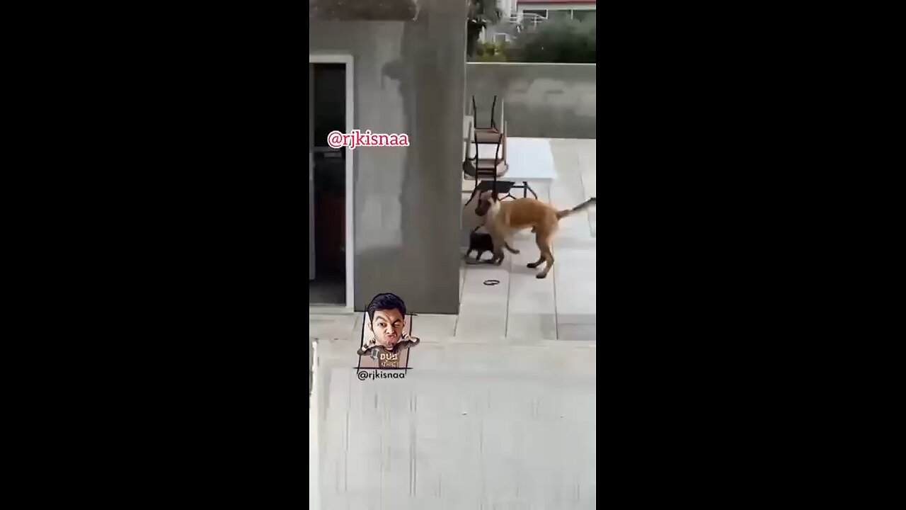 CRIMSY X JETH JEE _ STING OPERATION _shorts _ytshorts _behenkonaman _crimsy(360P)