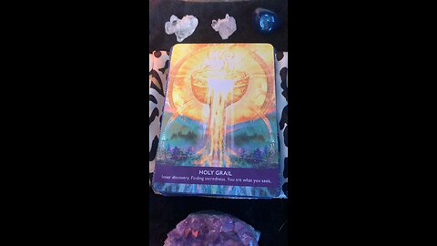 ✨The Holy Grail✨