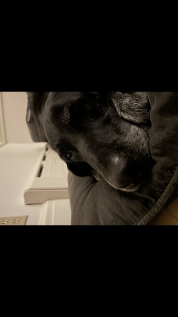 Go to the source of problem