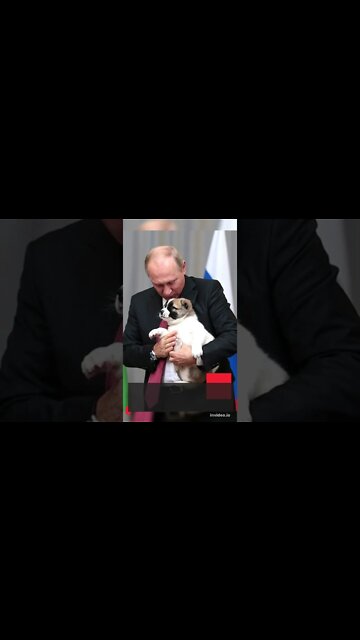 TOP 10 Scariest Dog Breeds In The World!