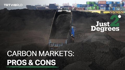 Carbon Markets: Pros & Cons