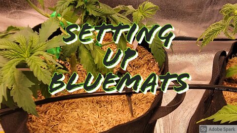 Installing Blumats