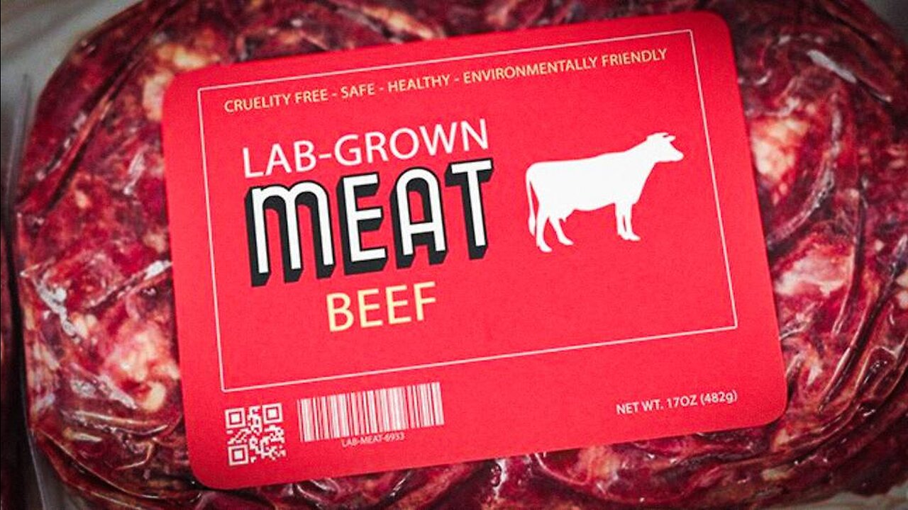 Lab-Grown Meat Served To Americans For First Time Ever