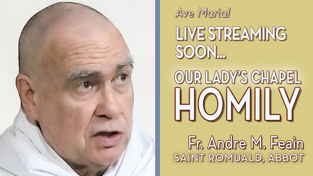 Memorial of Saint Romuald, Abbot - June 19, 2024 - HOMILY