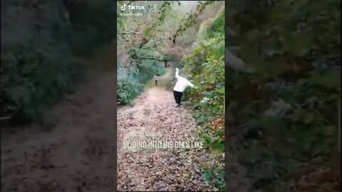 #try not to laugh #shorts