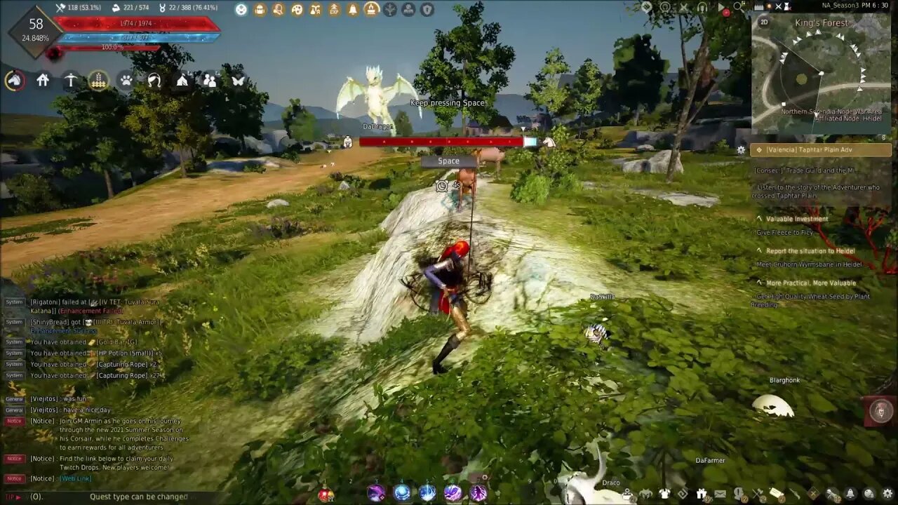 BDO - How to tame a horse