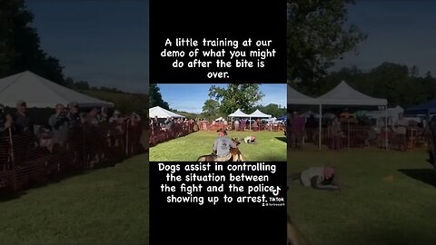 What happens after the bite? #malinoislovers