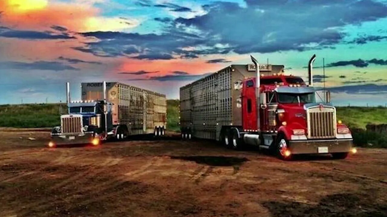 Mighty Machines The World of Trucks