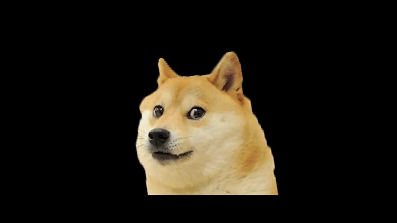 Doge With New Dun Dun Dun Sound (31121B)