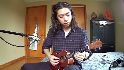 Tonight You Belong to Me Trumpet Solo on Ukulele