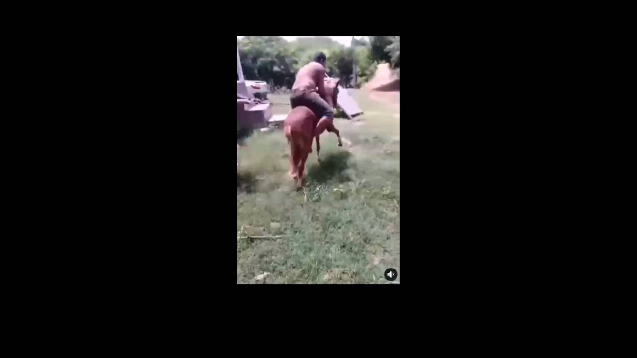 Funnyvideo must watch don't miss man fall off horse back watchto see what happen