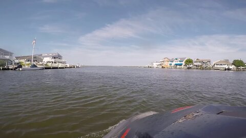 Cruising around chadwick island 2019