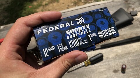 Federal Shorty/Mini Shells 1 Ounce Slug Range Testing