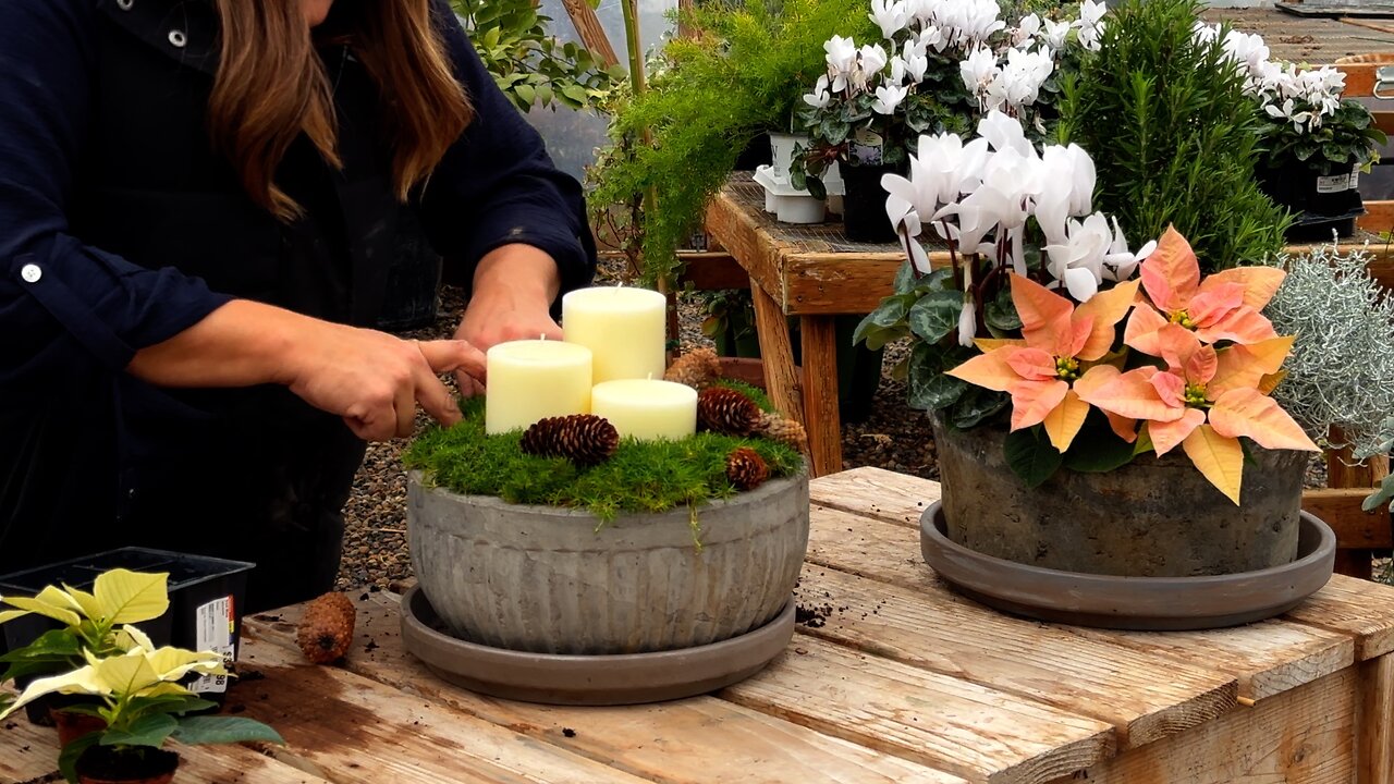 Planting 2 Holiday Centerpieces & Finishing the Eastside Pots for Winter! ❤️🌲❤️