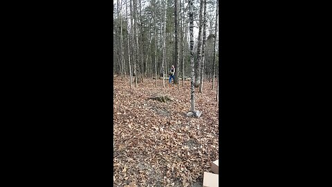 winter wood gathering and clean up