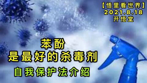 KWT2293苯酚是最好的杀毒剂——自我保护法介绍【悟里看世界20210818-2