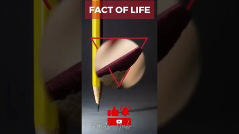 Amazing Psychological Fact That Will Blow Your Mind || #Shorts || #Facts || # Facts Hub