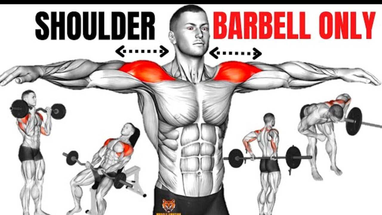 Top 6 Shoulder Exercises | Daily Workout |