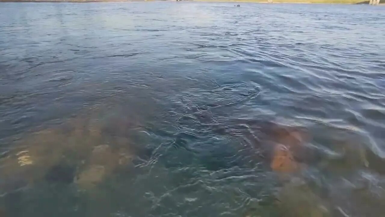 relax river sounds