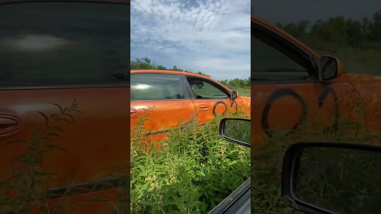 Who knew a Chevy Impala was good for off roading #shorts