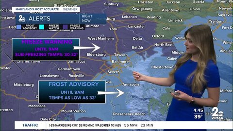 Good Morning Maryland - Stevie Daniels