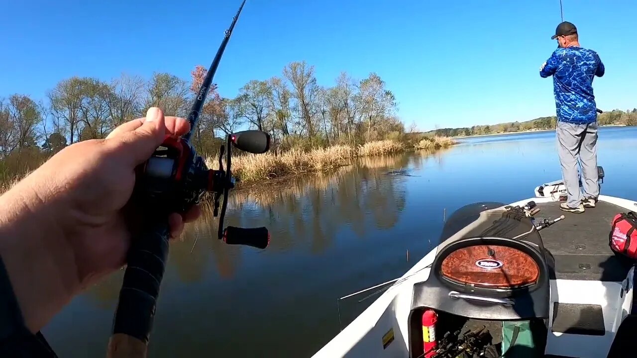 Sight Fishing Spawning Bass