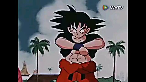 dragon ballz