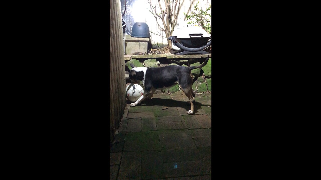 Pele