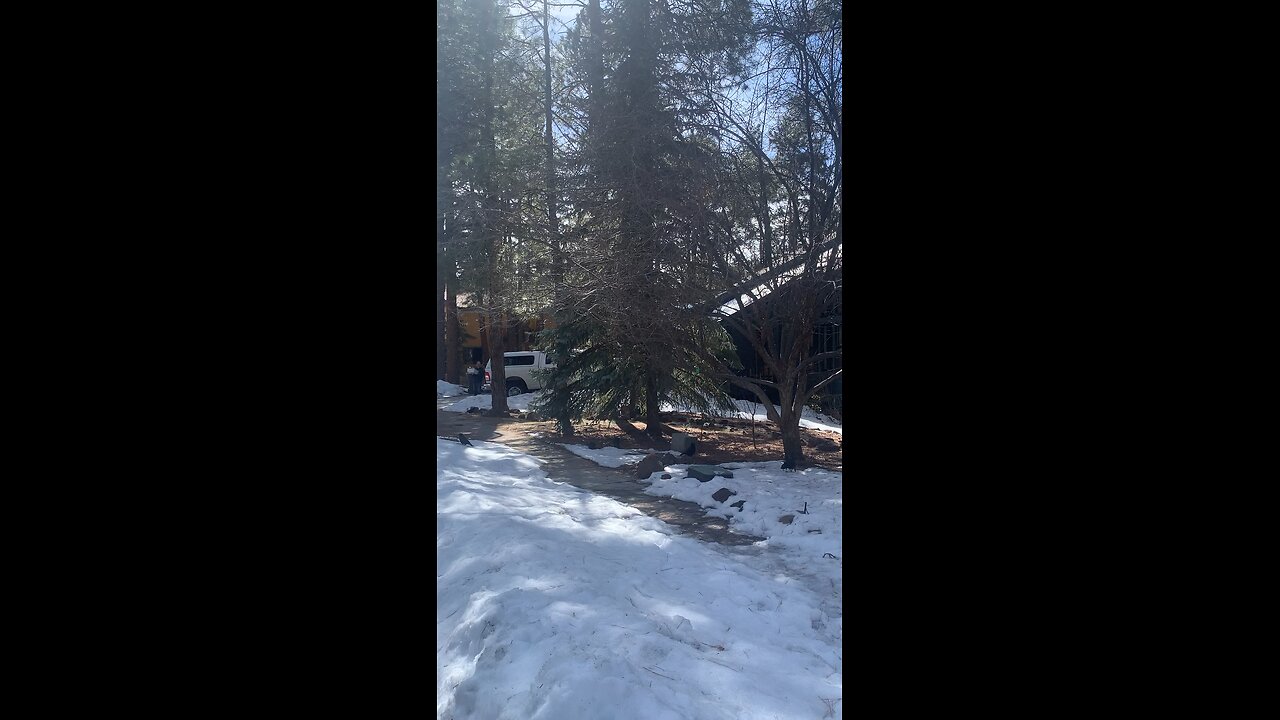 University Heights Flagstaff