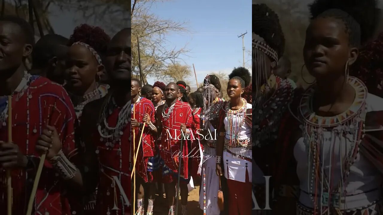 Maasai wedding in Amboseli Kenya | Maasai Tribe