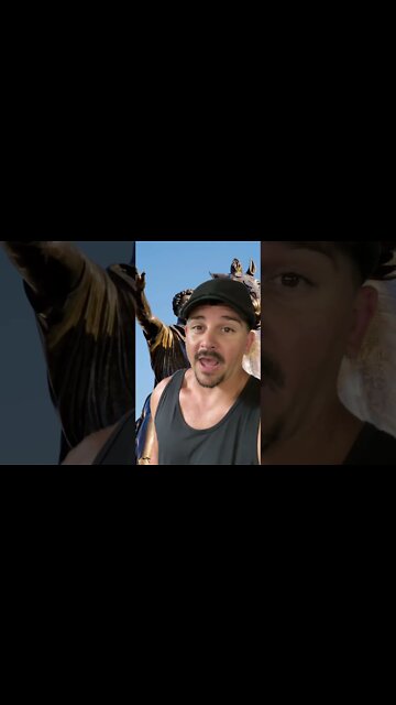 MARCUS AURELIUS #qotd #quoteoftheday