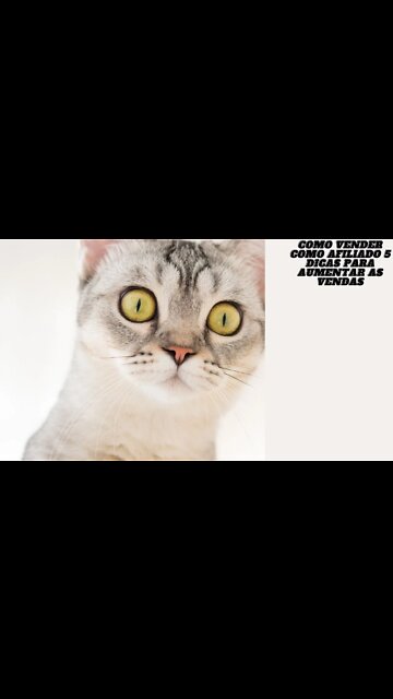 Como vender como afiliado 5 dicas para aumentar as vendas