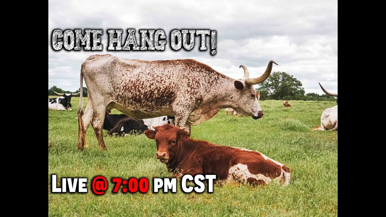 Hang Out With Us 7pm CST