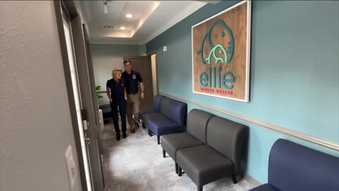 New mental health clinic in Tampa Bay area looks to provide immediate help to patients