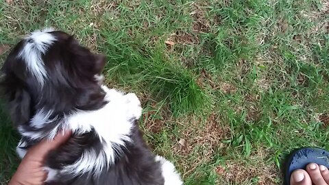 I Litter-Outing