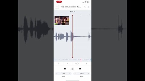 AudioStretch Buzz look an alien meme. How YTP are made #shorts