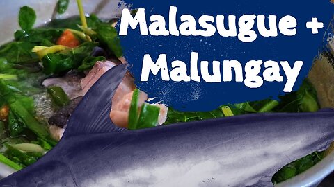 Cooking Malungay and Malasugue
