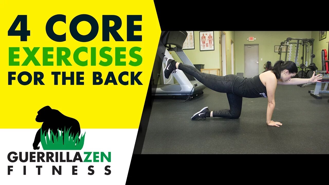 Low Back Pain | 4 ESSENTIAL Core Exercises to Protect Your Back!