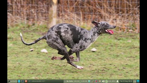 "LurcherOS", part 1, brief intro and installation....