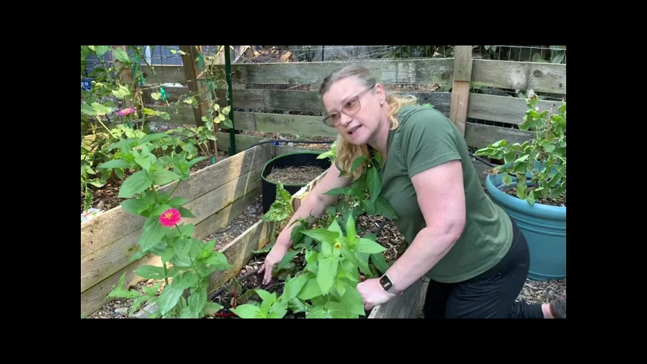 Transitioning Into my fall garden